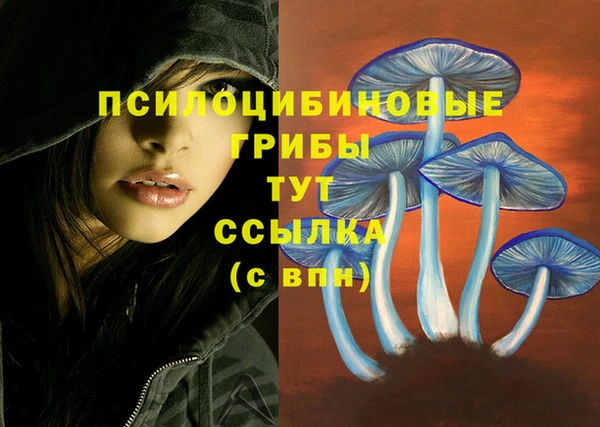 не бодяженный Семилуки