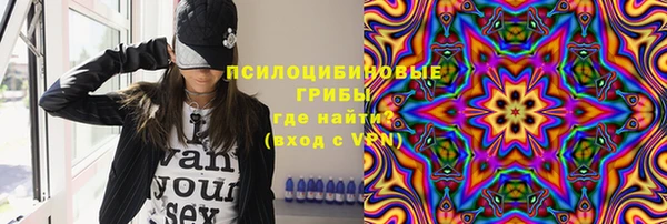 тгк Алзамай