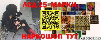 амф Моздок