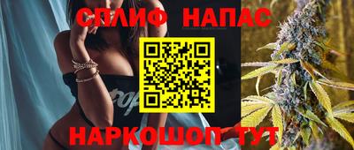 стафф Можга