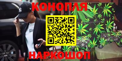 стафф Можга