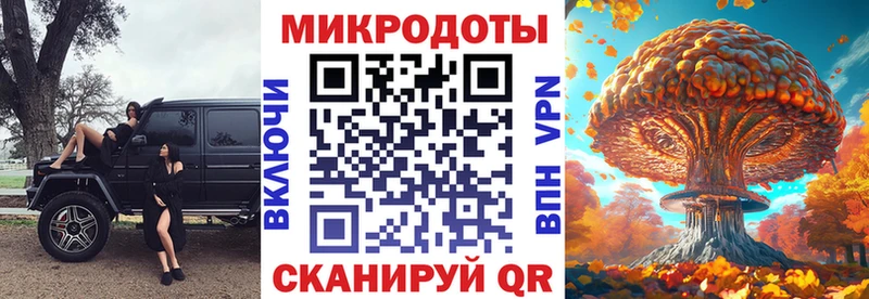 Псилоцибиновые грибы Psilocybine cubensis купить мега зеркало Гурьевск