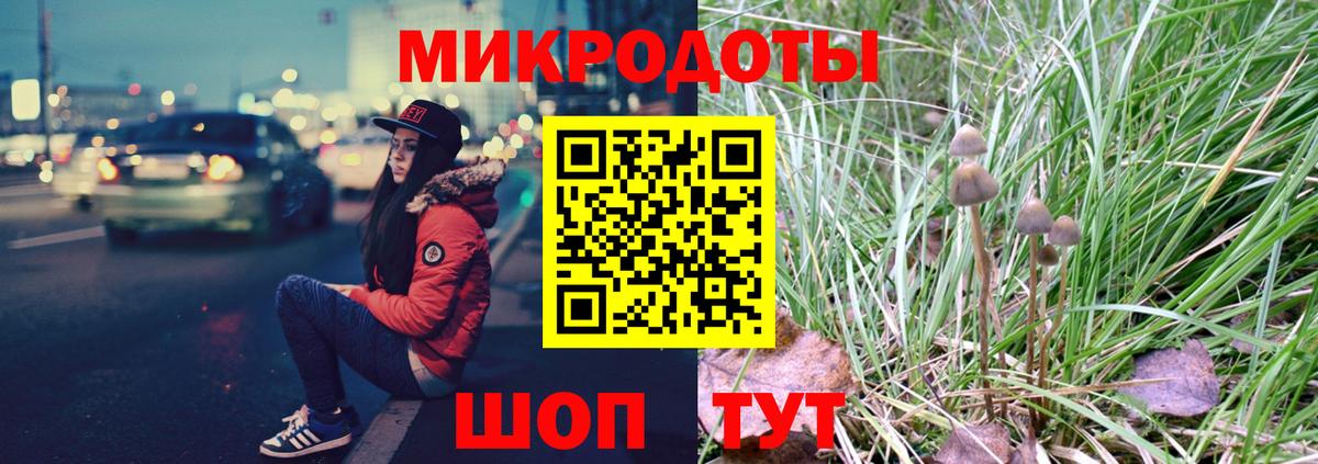 Галлюциногенные грибы прущие грибы Гурьевск